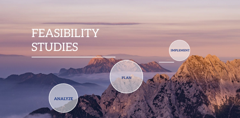 difference between feasibility study and business plan